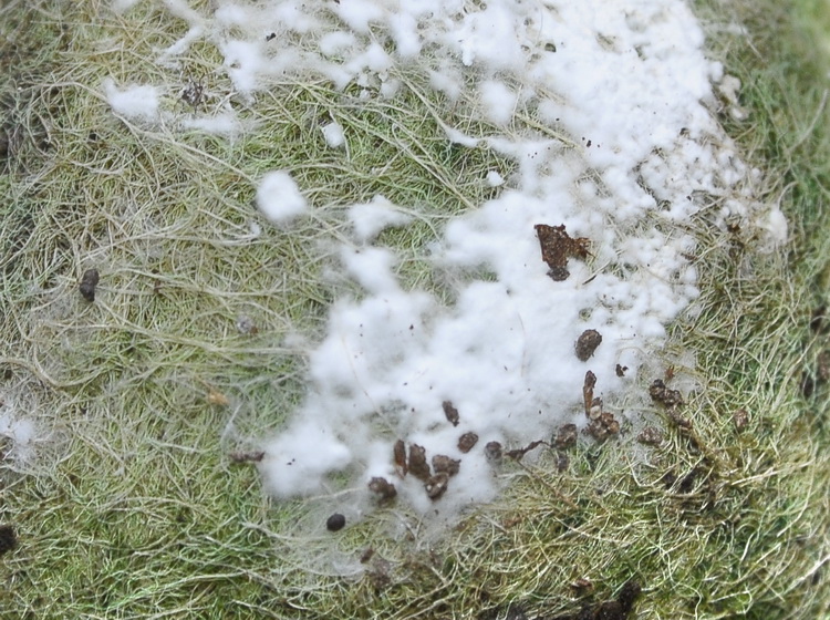 Quiz domenicale  facile e sportivo.....